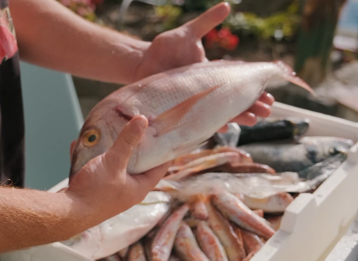 Filiera del Pesce Fresco in Costiera Amalfitana: Guida su come Scegliere Bene